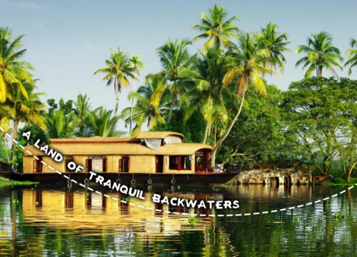 Kerala Odyssey – 7N/8D