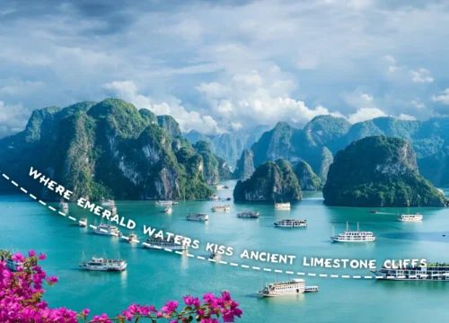 Explore Vietnam – 7N/8D